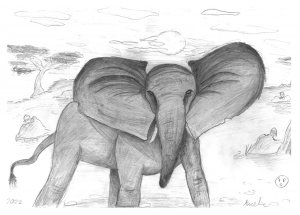 Bleistiftzeichnung "Der Elefant"