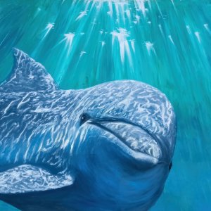 quadratische Postkarte „Dolphin light“